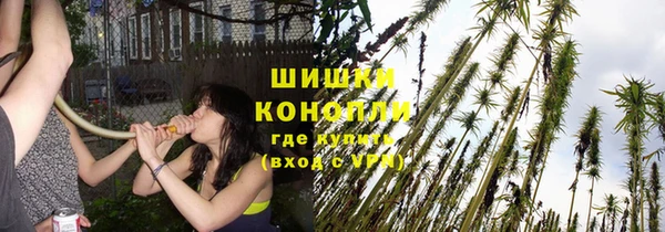 каннабис Арсеньев