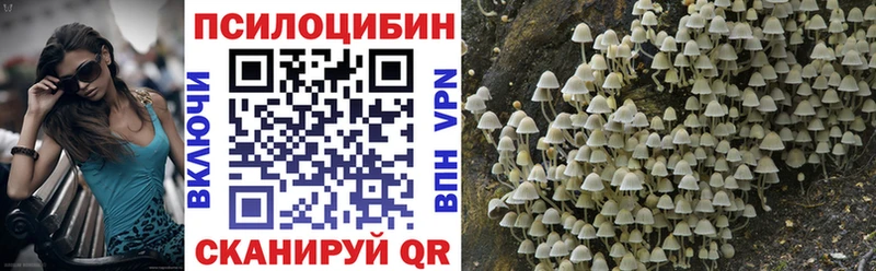 Псилоцибиновые грибы мицелий MEGA как зайти Колпашево